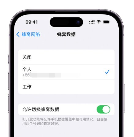 察哈尔右翼前苹果维修服务分享如何在iPhone上使用双卡 